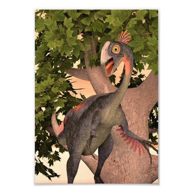 Foto Dinossauro Gigantoraptor (Frente)