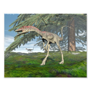 Foto dinossauros Compsognathus - renderização 3D