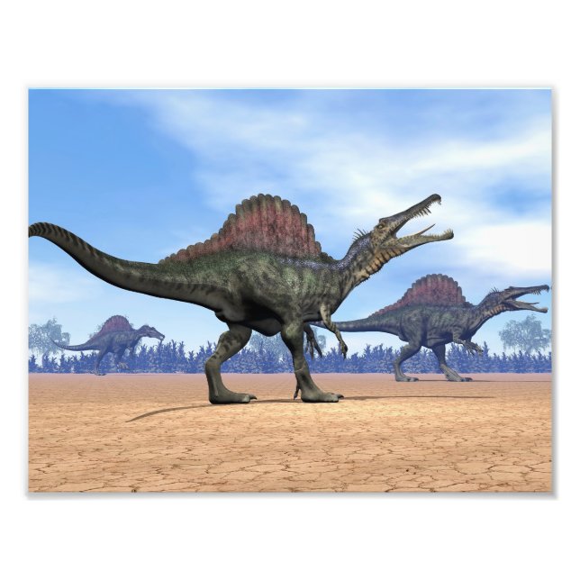 Foto Dinossauros do espinossauro caminham - renderizaçã (Frente)