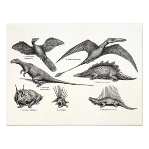 Foto Dinossauros retros da ilustração do dinossauro d