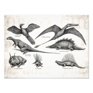 Foto Dinossauros retros da ilustração do dinossauro d
