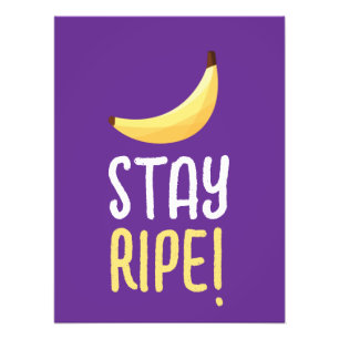 Foto Dívidas Favoritas de Banana Retro Engraçadas Puns