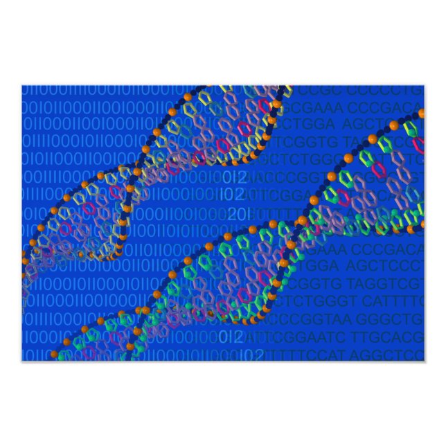 Foto DNA humano e poster de ADN sintético (Frente)