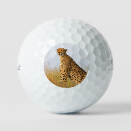 Foto do Big Cat, animal selvagem