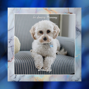 Foto do Cachorro, Nome do Script, Em Memória Queri