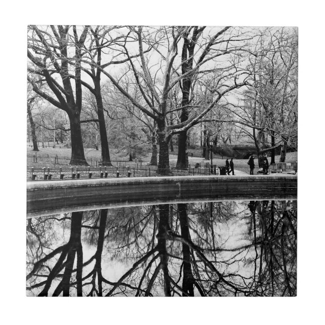 Foto do Central Park, NYC (Frente)