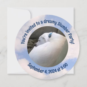 Foto do Convite de festas do Cachorro Dormindo