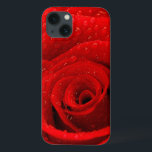 Foto do fundo da rosa vermelha<br><div class="desc">Foto do fundo da rosa vermelha,  flor fresca bonita com gotas de orvalho nas pétalas,  contexto natural abstrato,  cartão do aniversário,  presente romântico,  dia dos namorados,  cartão wedding,  © do conceito do amor e ® Bigstock® - todos os direitos reservados.</div>