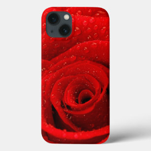 Foto do fundo da rosa vermelha