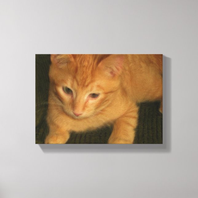 Foto do gatinho na Canvas (Frente)