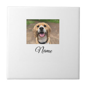 Foto do gato-do-cão adicionar nome de animal cu pe