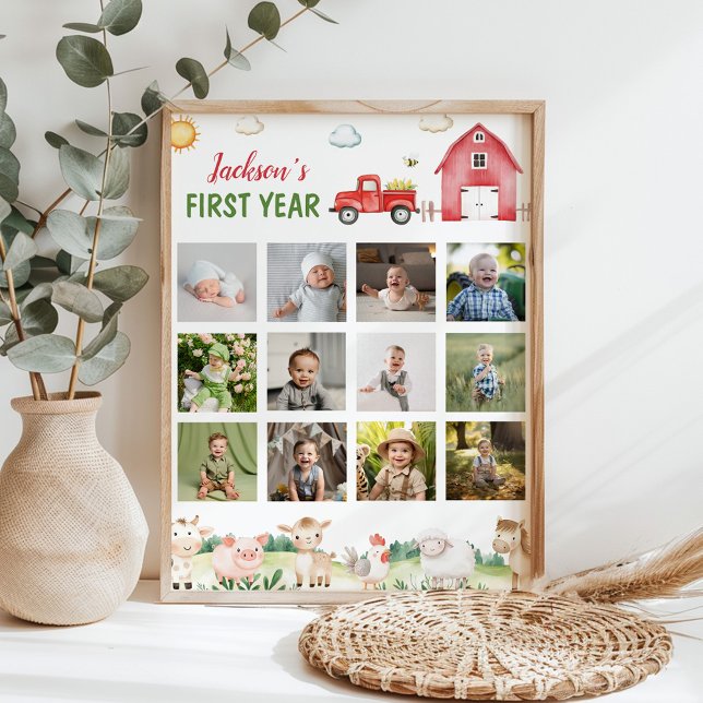 Foto do primeiro ano de animais de galeria Poster (Criador carregado)