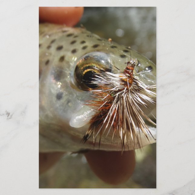 Foto do Rainbow Trout (Frente)