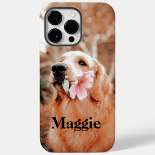 Foto do Recuperador de Ouros Personalizado - Prese