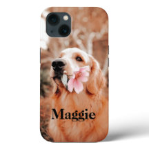 Foto do Recuperador de Ouros Personalizado - Prese