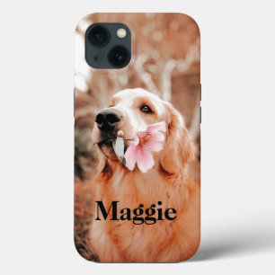 Foto do Recuperador de Ouros Personalizado - Prese