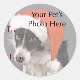 Foto do seu Pet em Nomes de etiqueta de Natal