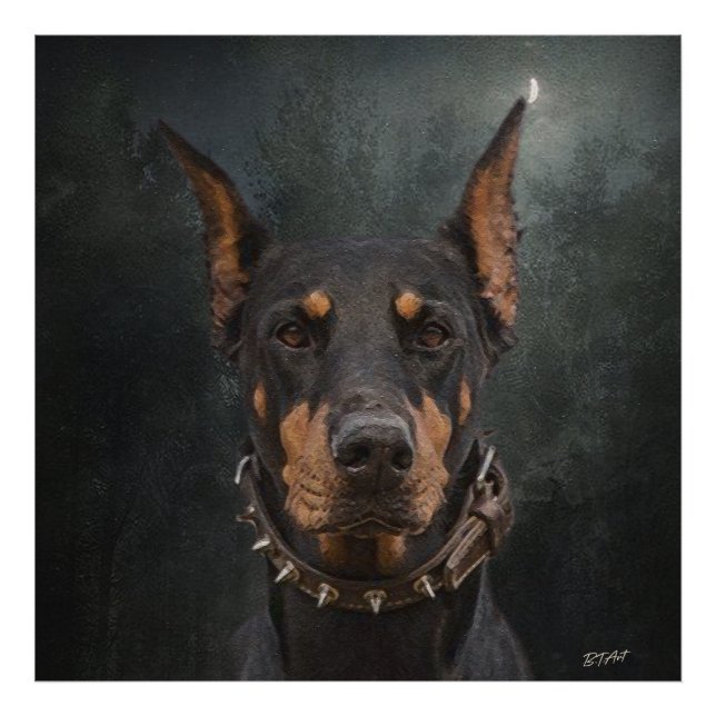 Foto Doberman Pinscher (Frente)