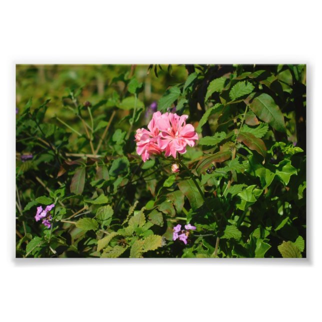 Foto Dois por um (Frente)