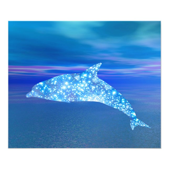 Foto Dolphin Star (Frente)