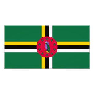 Foto Dominica Flag