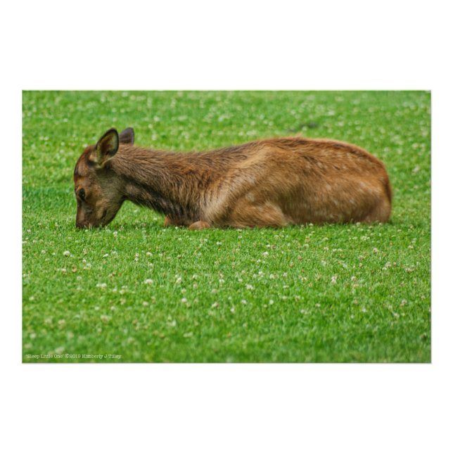 Foto Dormir Pequeno (Frente)