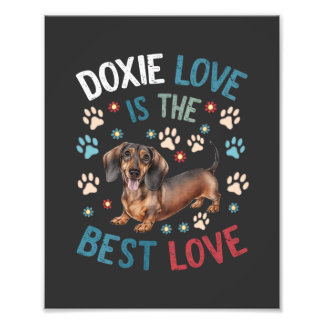 Foto Doxie Love É O Melhor Amor