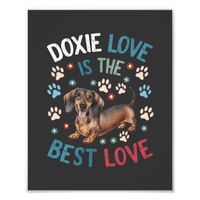 Foto Doxie Love É O Melhor Amor (Frente)