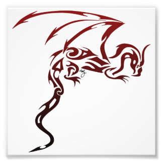 Foto Dragon Impressão