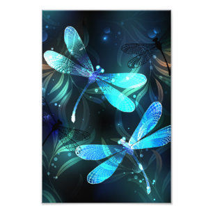Foto Dragonflies de lago