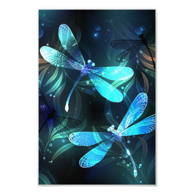 Foto Dragonflies de lago (Frente)
