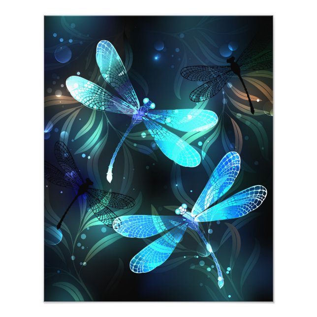 Foto Dragonflies de lago (Frente)