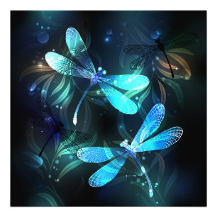 Foto Dragonflies de lago