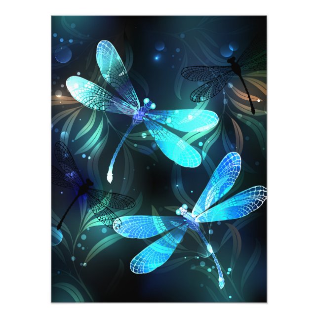 Foto Dragonflies de lago (Frente)