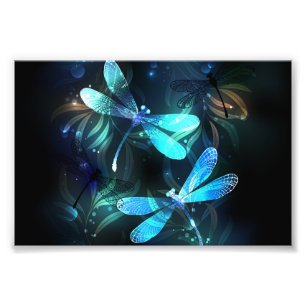 Foto Dragonflies de lago