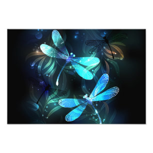 Foto Dragonflies de lago