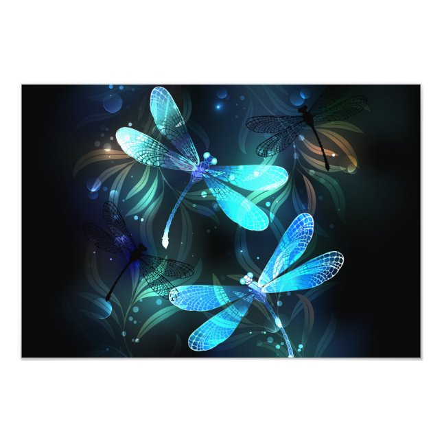 Foto Dragonflies de lago (Frente)