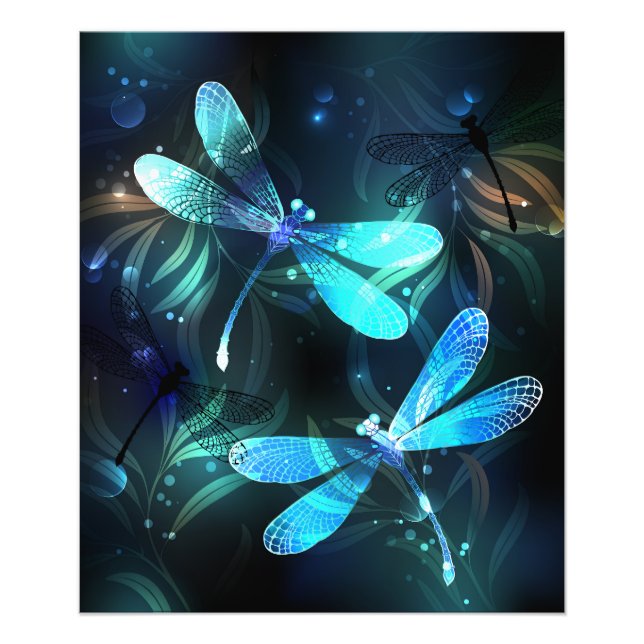 Foto Dragonflies de lago (Frente)