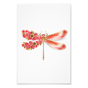 Foto Dragonfly com joalheria sakura