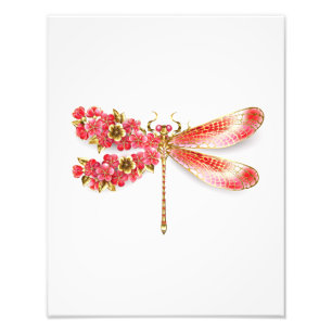 Foto Dragonfly com joalheria sakura