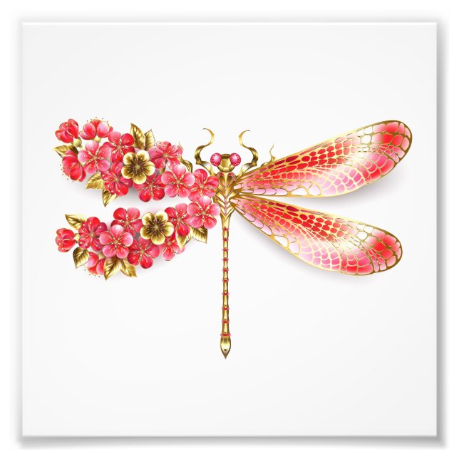 Foto Dragonfly com joalheria sakura (Frente)