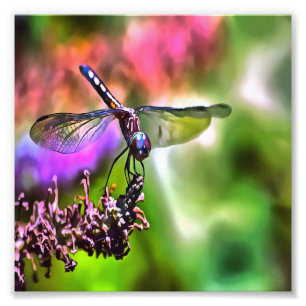 Foto Dragonfly em pintura realista verde e azul
