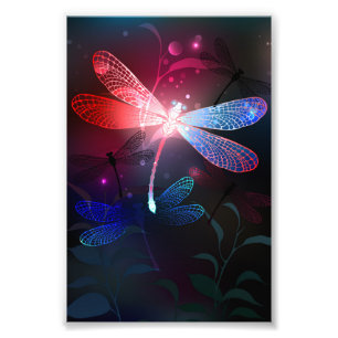 Foto Dragonfly vermelha