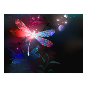 Foto Dragonfly vermelha