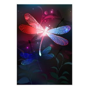 Foto Dragonfly vermelha