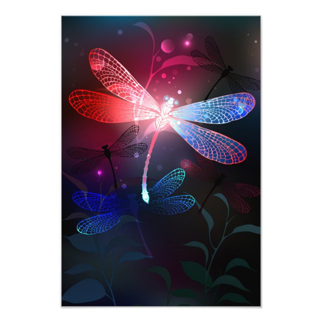 Foto Dragonfly vermelha (Frente)