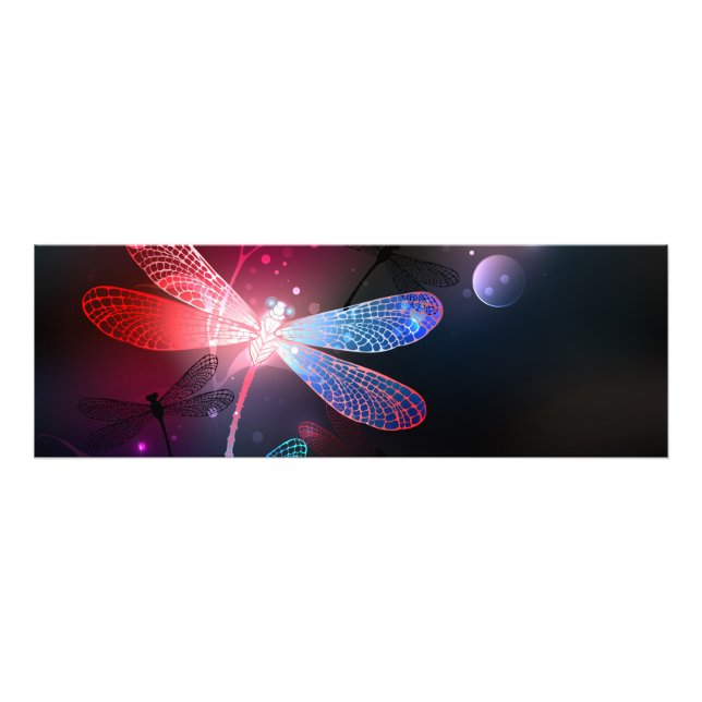 Foto Dragonfly vermelha (Frente)