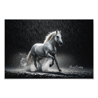 Foto Dramatic White Horse Galloping in Rain