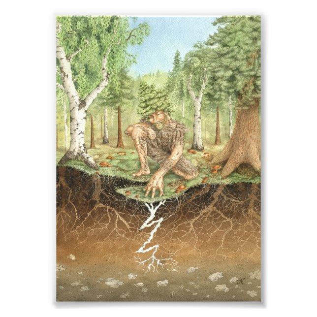 Foto Dryad de fungos Mycorrhizal (Frente)