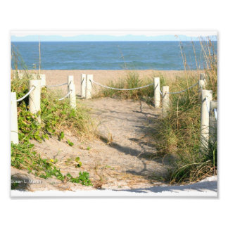 Foto Duna de caminhada da praia salta da Florida Beach 